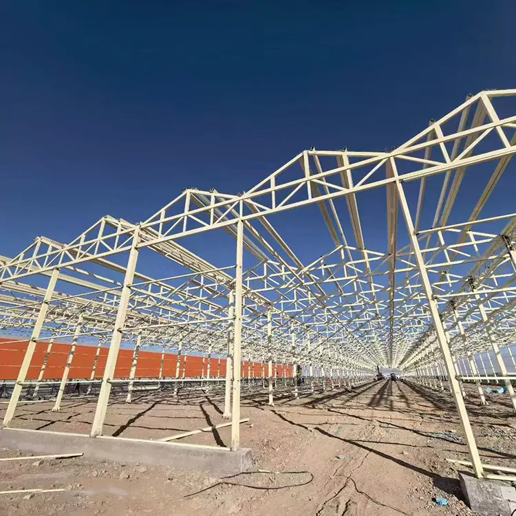 亜鉛メッキ鋼製温室フレームが現代の農業に最適な理由